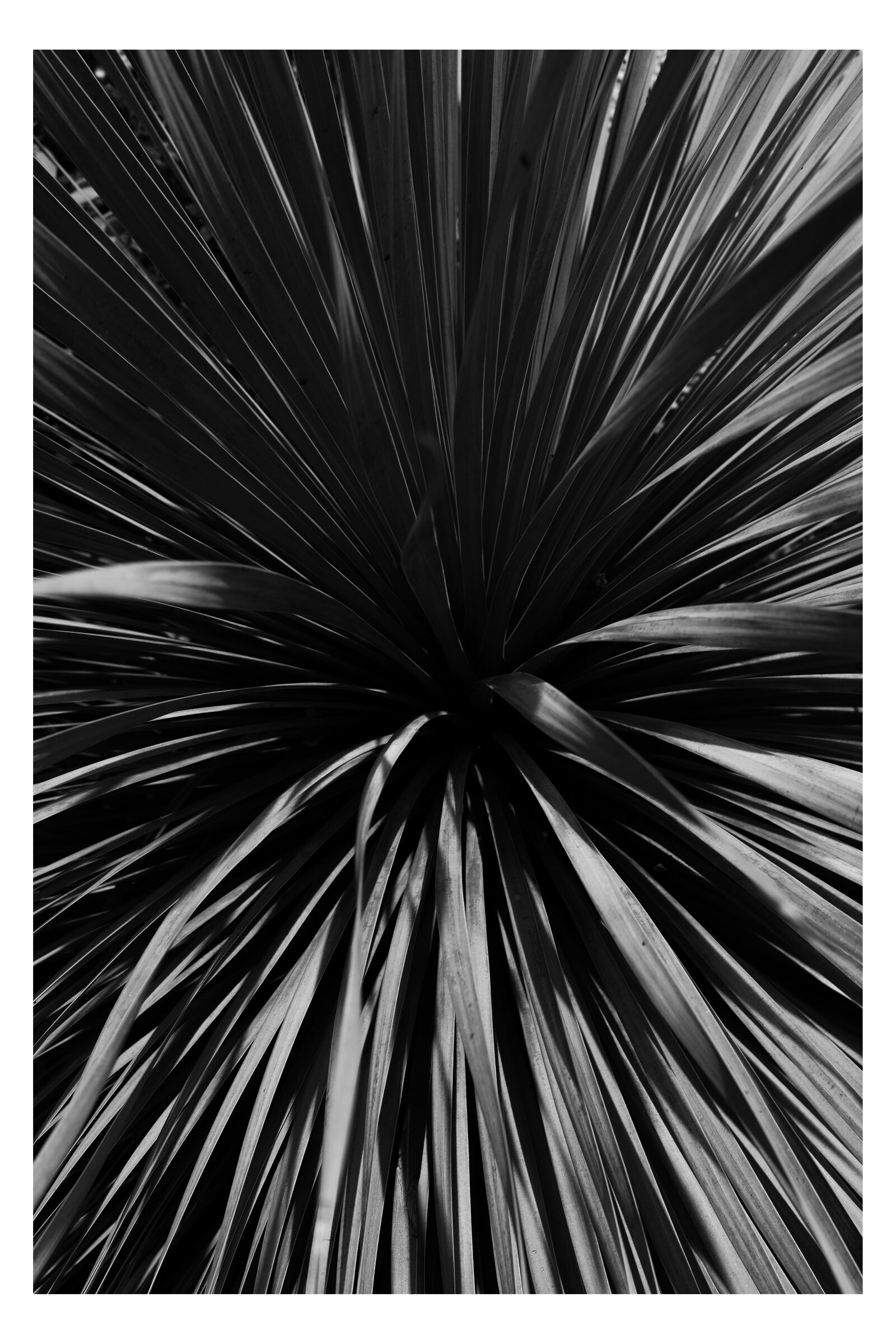 Abstract photograph 23 by William Everett