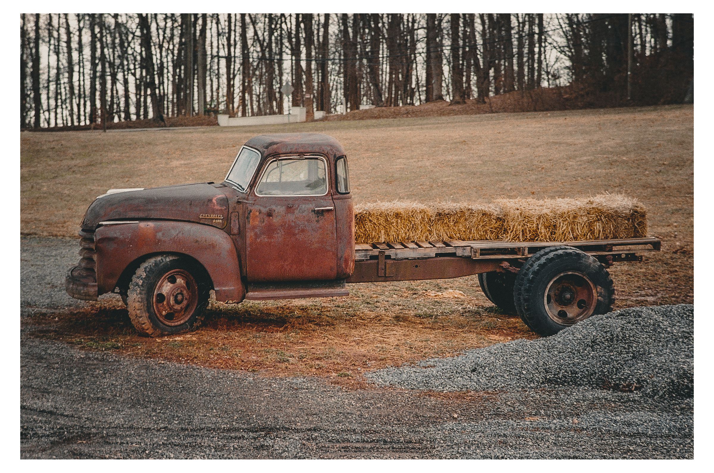Charlottesville photograph 10 by William Everett