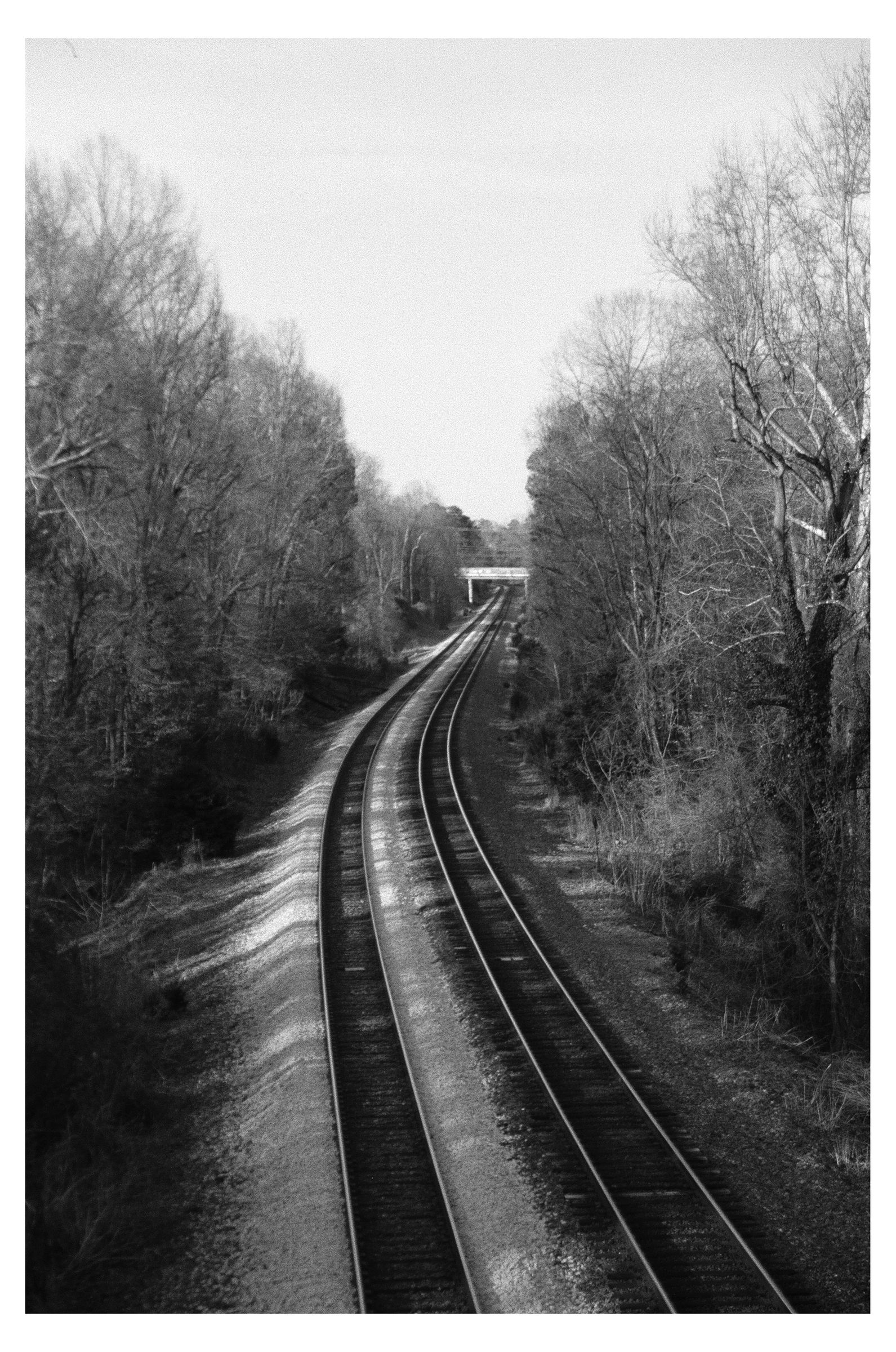 Charlottesville photograph 12 by William Everett