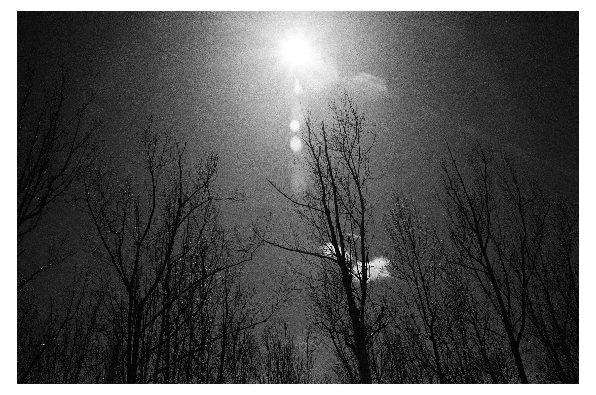 Charlottesville photograph 13 by William Everett