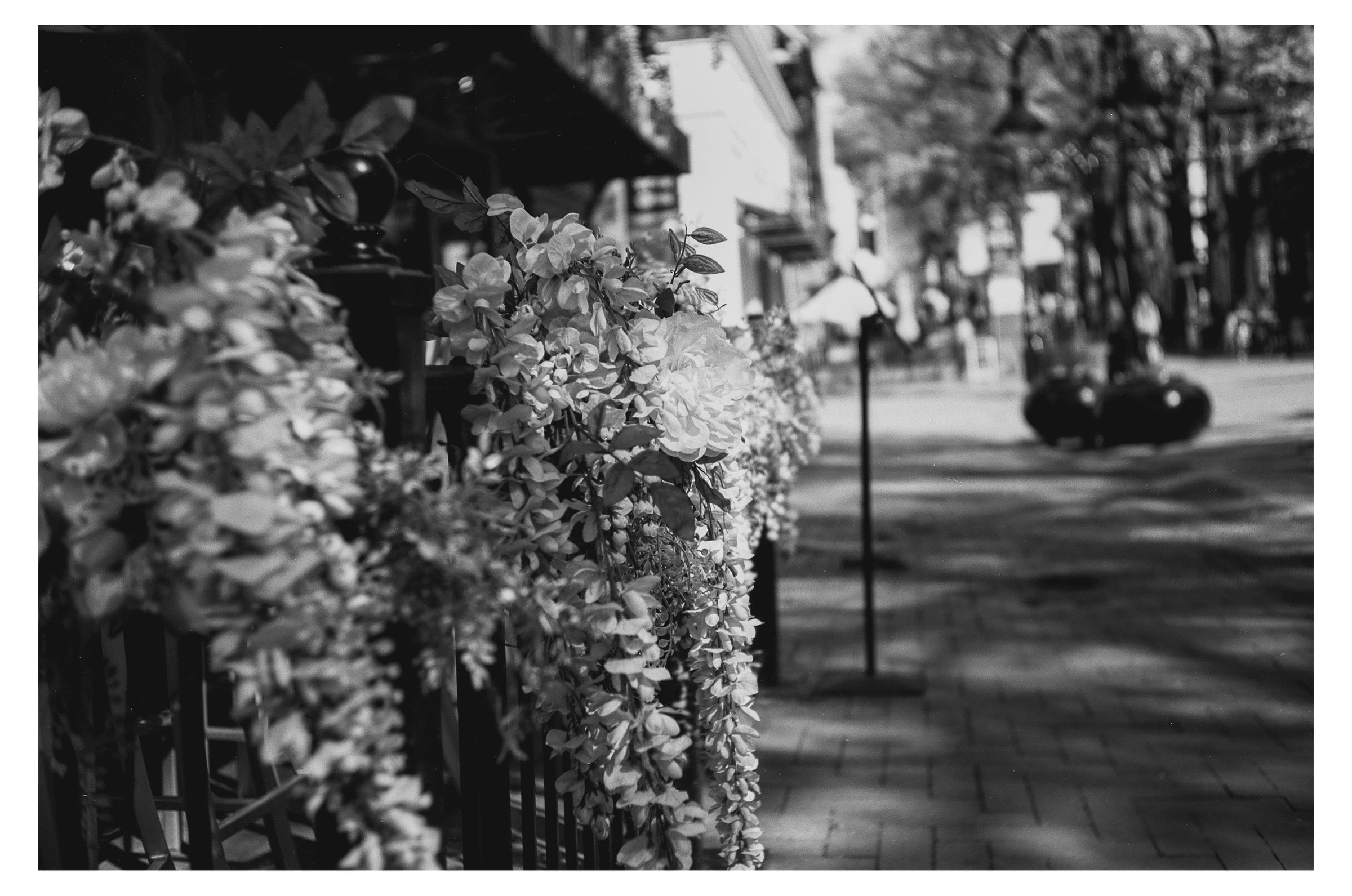 Charlottesville photograph 16 by William Everett
