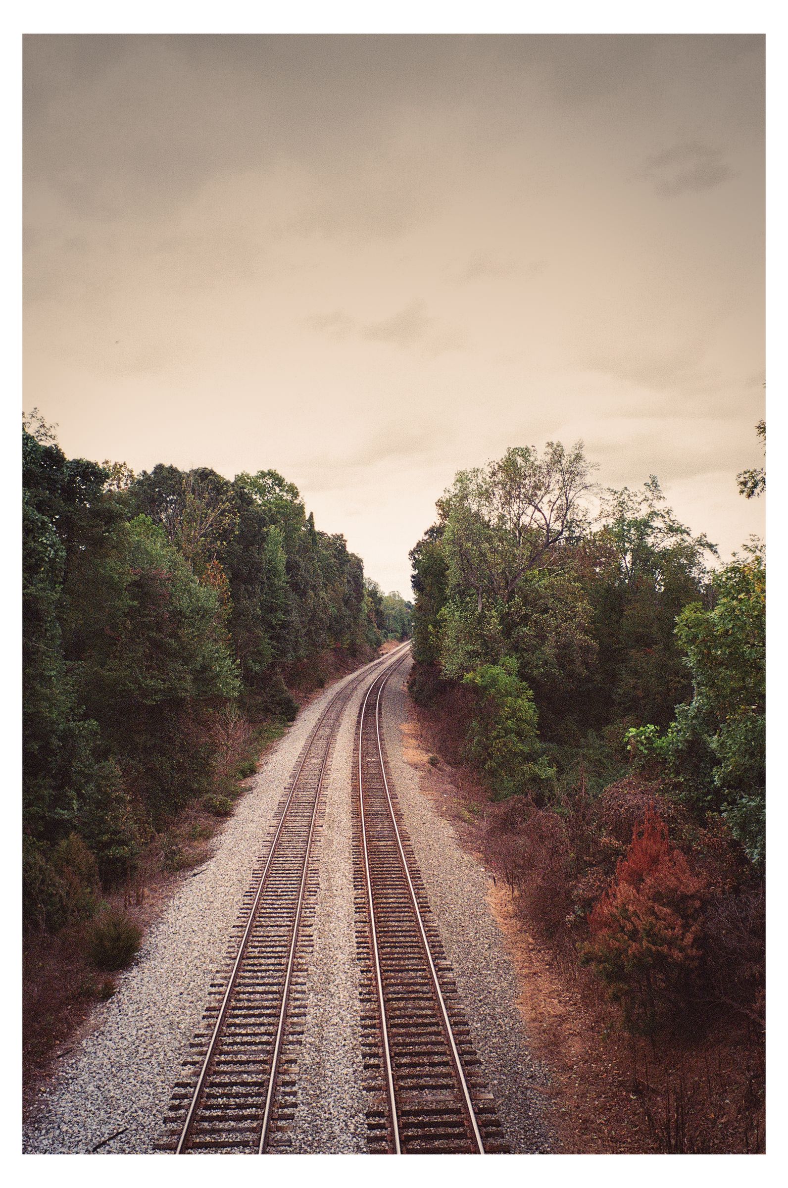 Charlottesville photograph 25 by William Everett