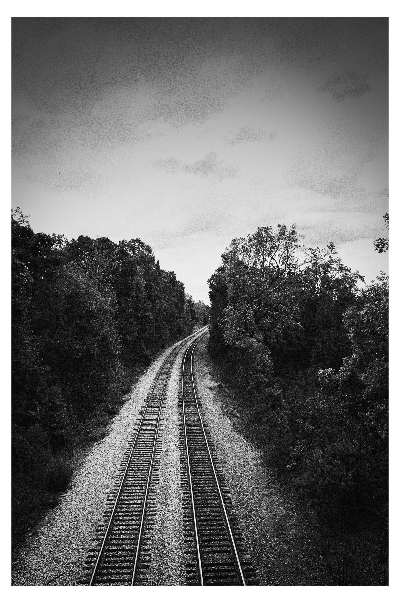 Charlottesville photograph 26 by William Everett