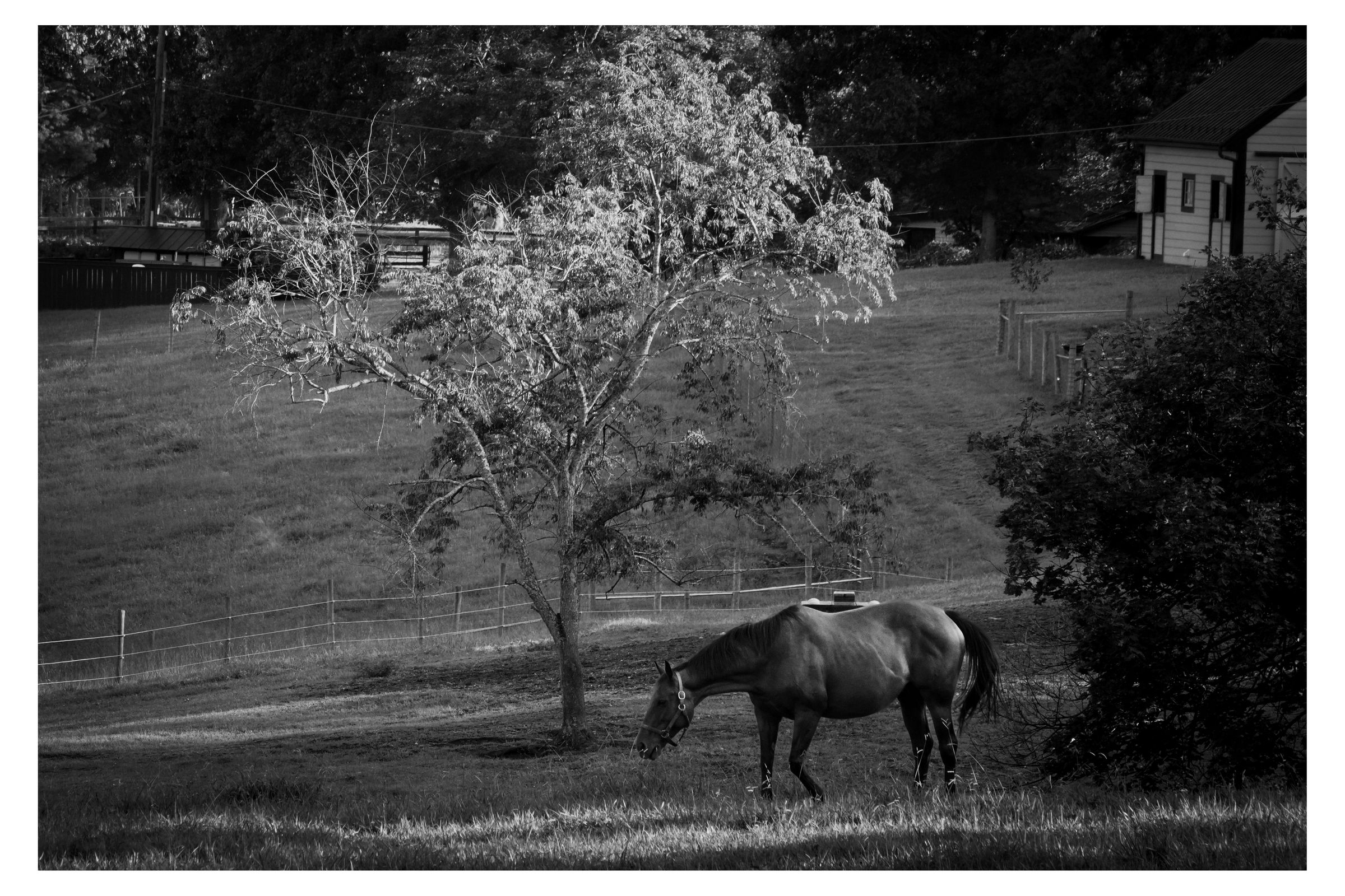 Charlottesville photograph 53 by William Everett