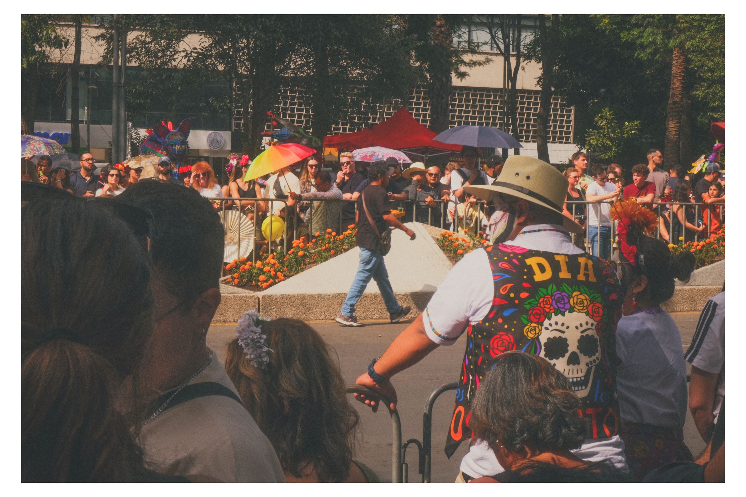 Día de los Muertos photograph 15 by William Everett
