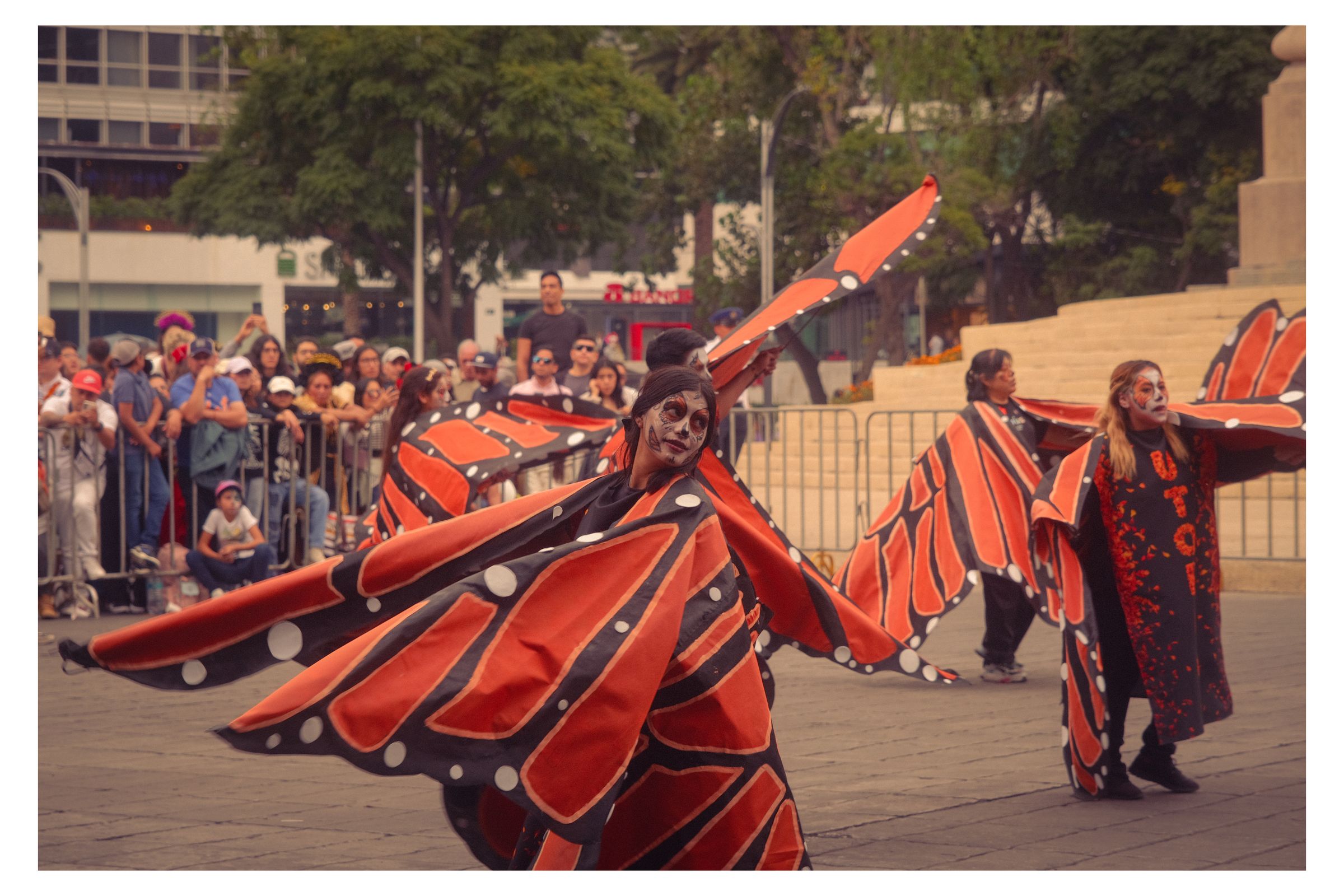 Día de los Muertos photograph 27 by William Everett