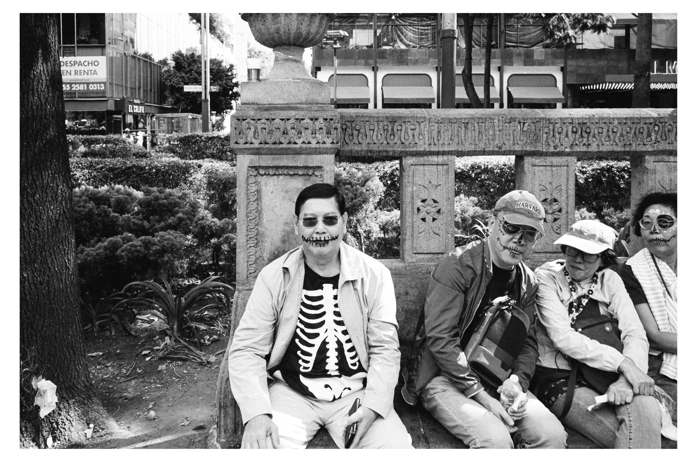 Día de los Muertos photograph 43 by William Everett