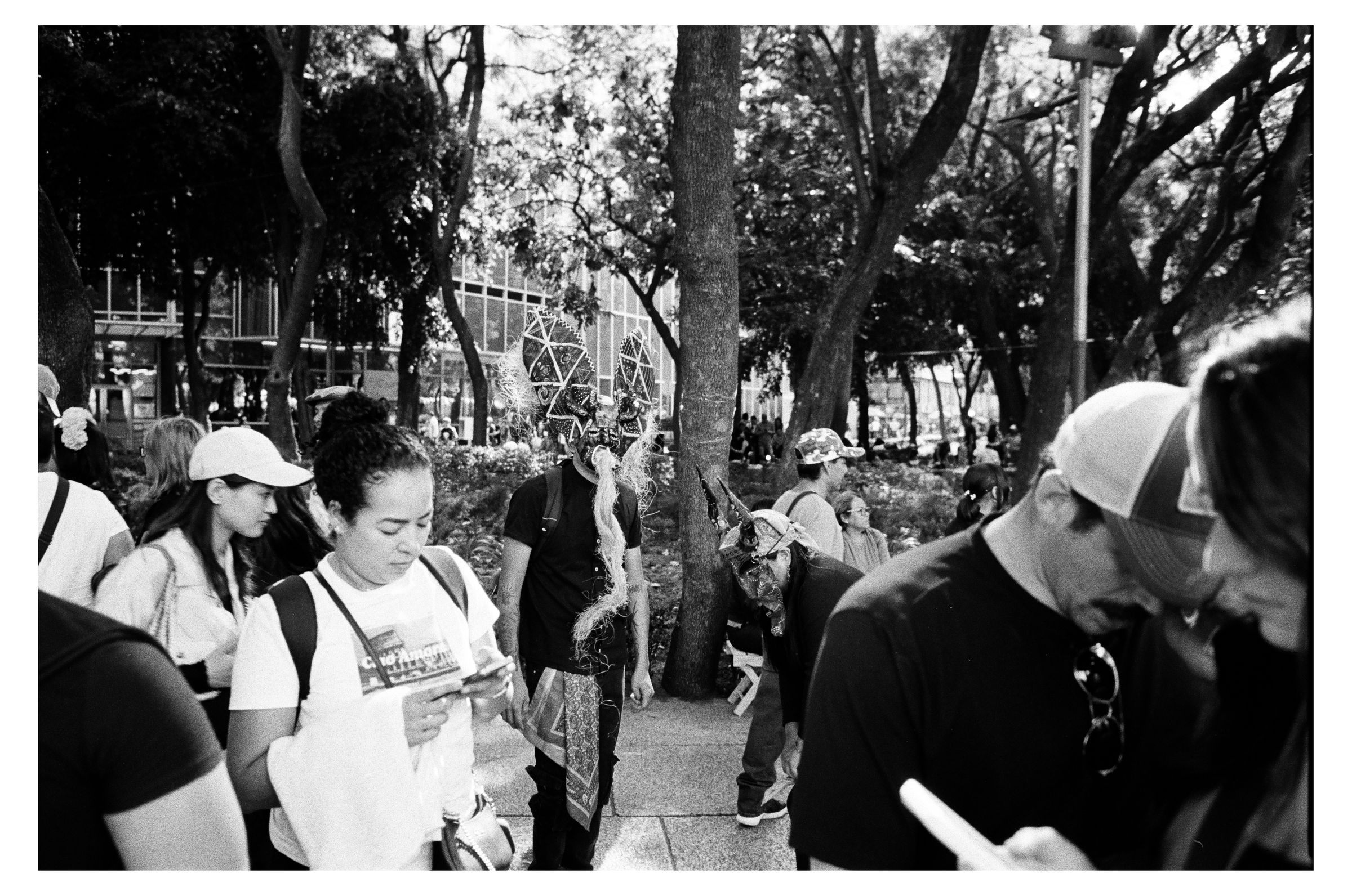 Día de los Muertos photograph 44 by William Everett