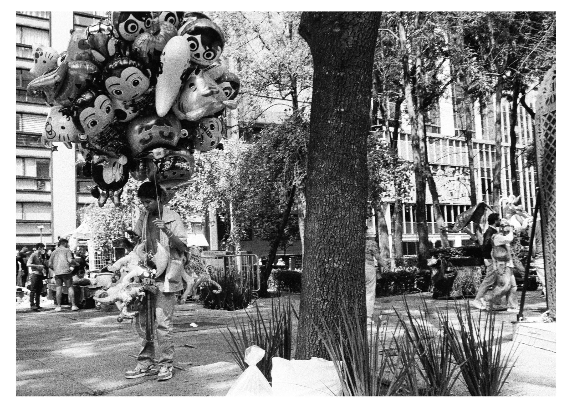 Día de los Muertos photograph 49 by William Everett