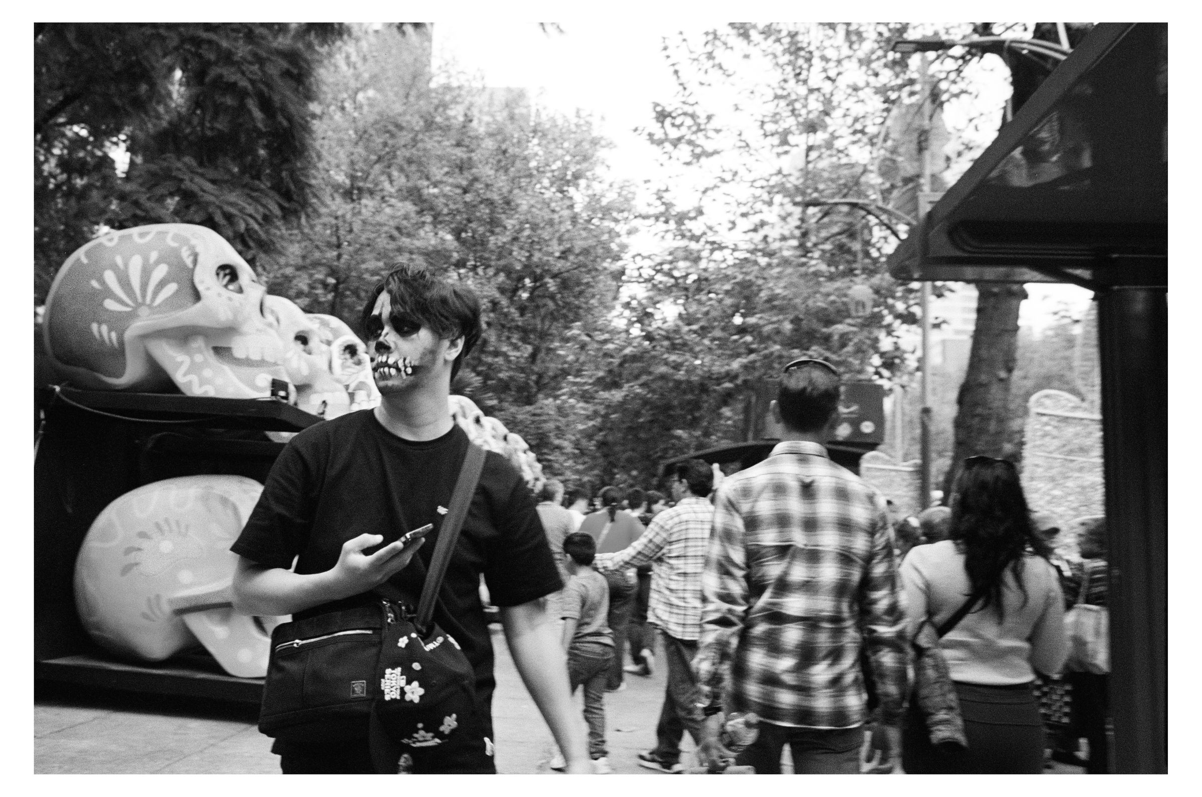 Día de los Muertos photograph 53 by William Everett