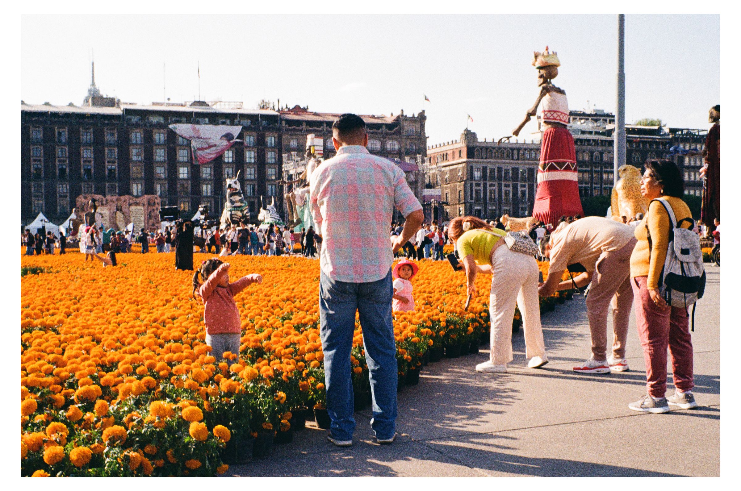 Día de los Muertos photograph 55 by William Everett