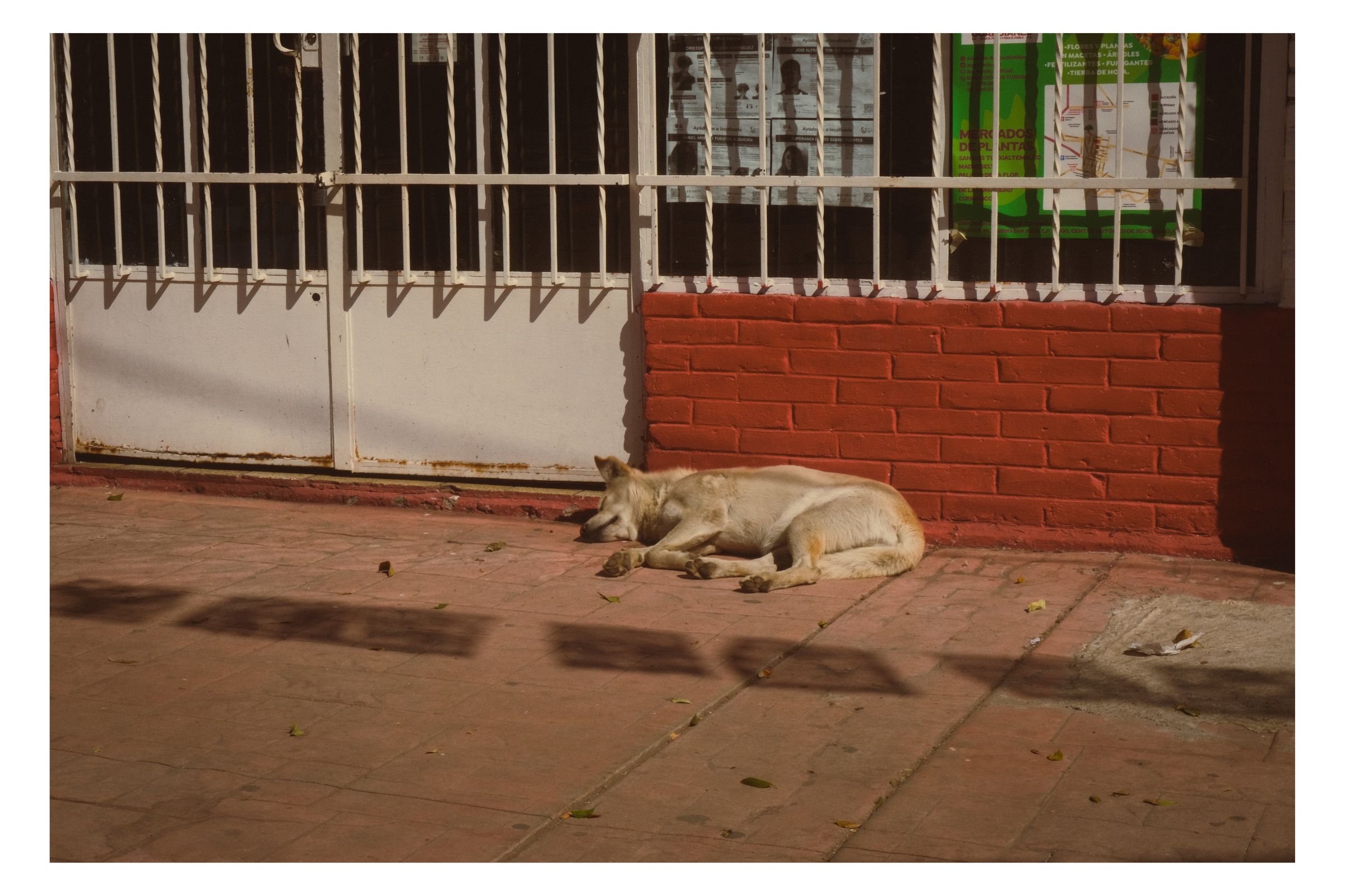 Mexico City photograph 7 by William Everett