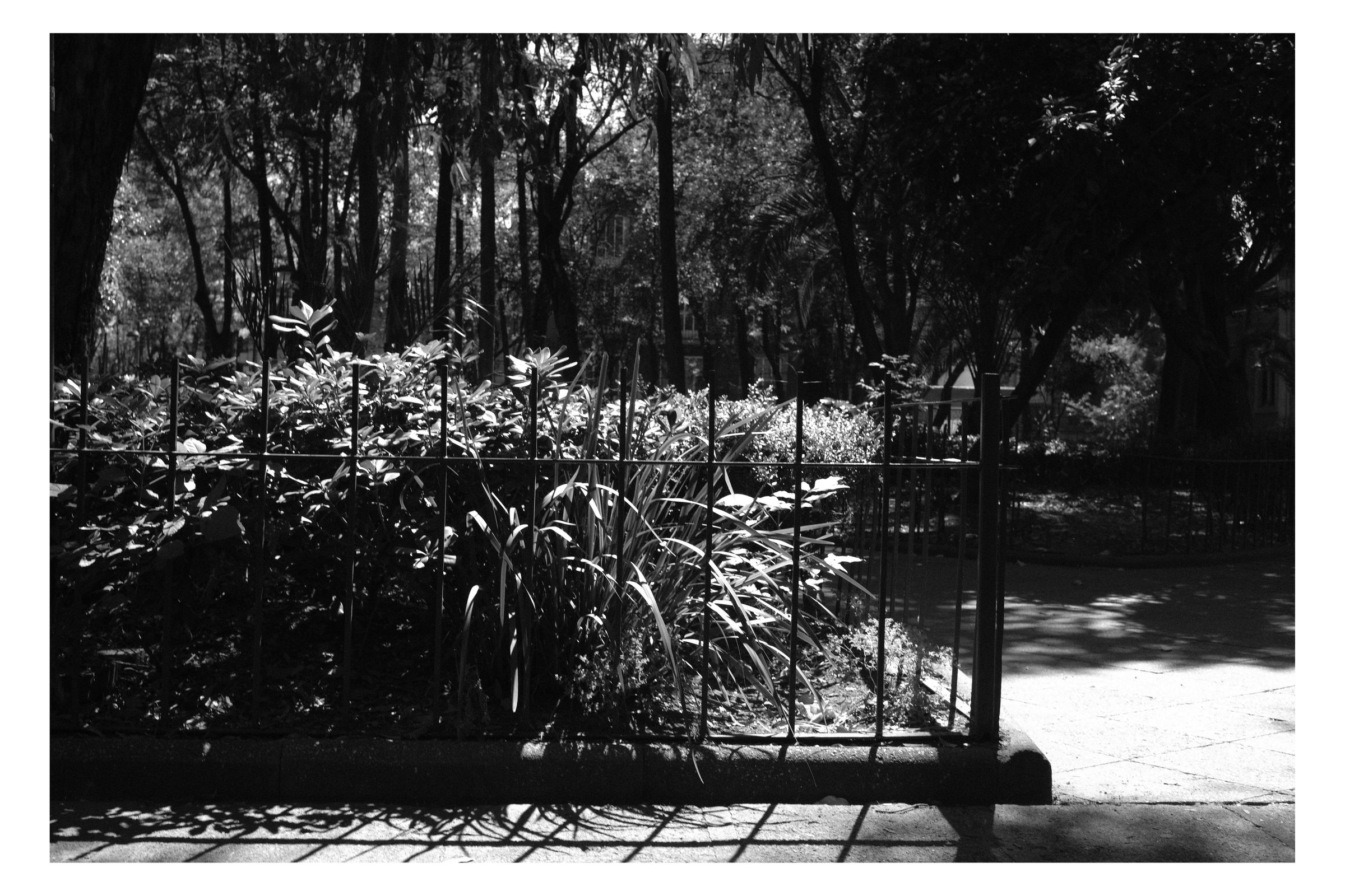 Mexico City photograph 18 by William Everett