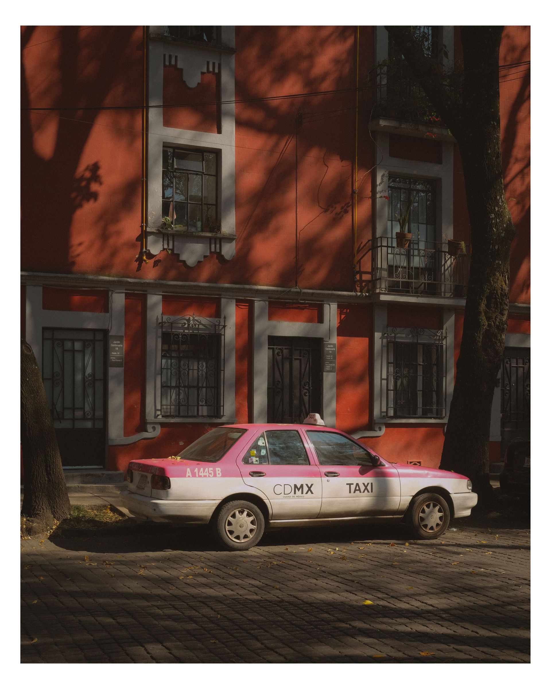 Mexico City photograph 19 by William Everett