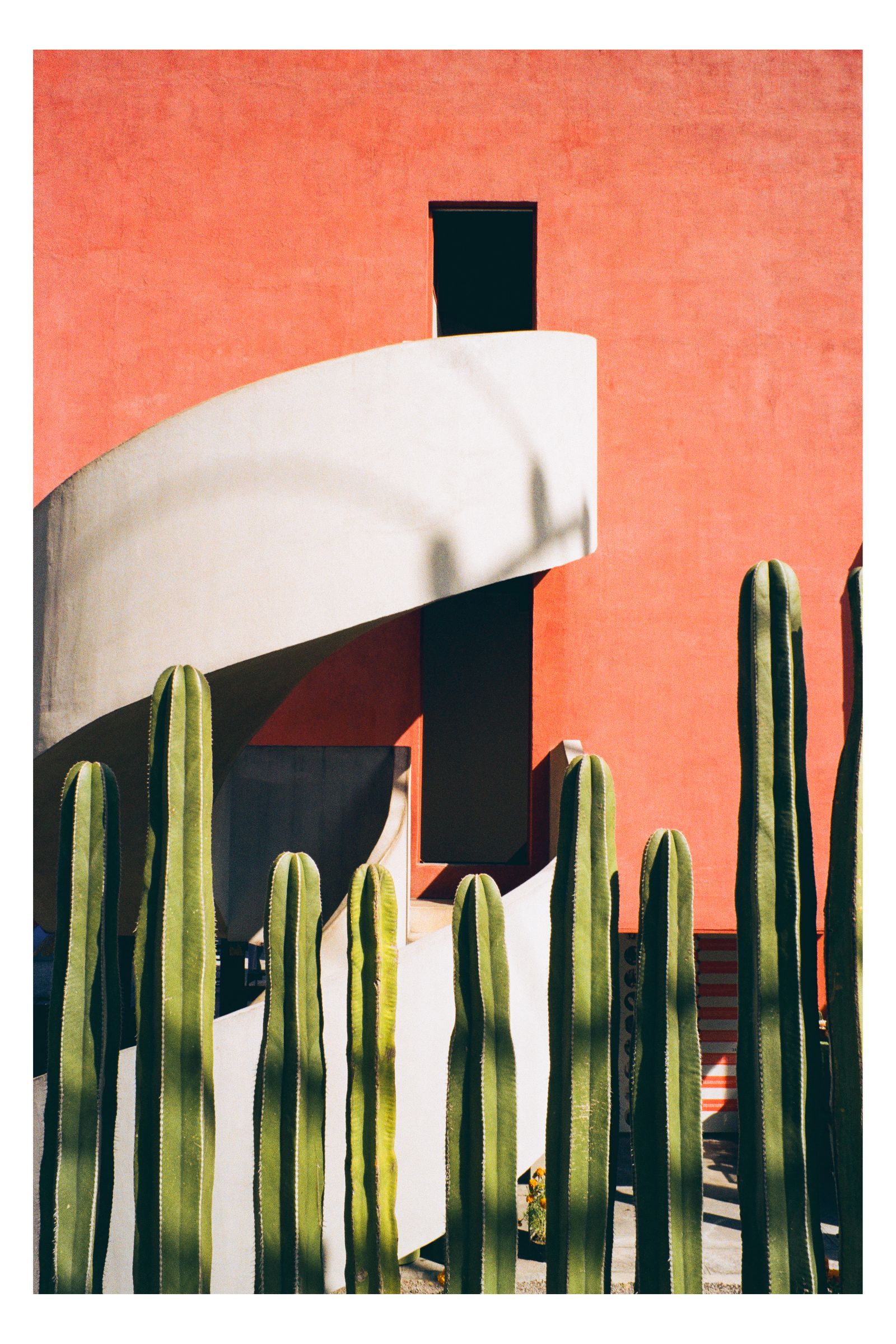 Original photography from Mexico City by William Everett