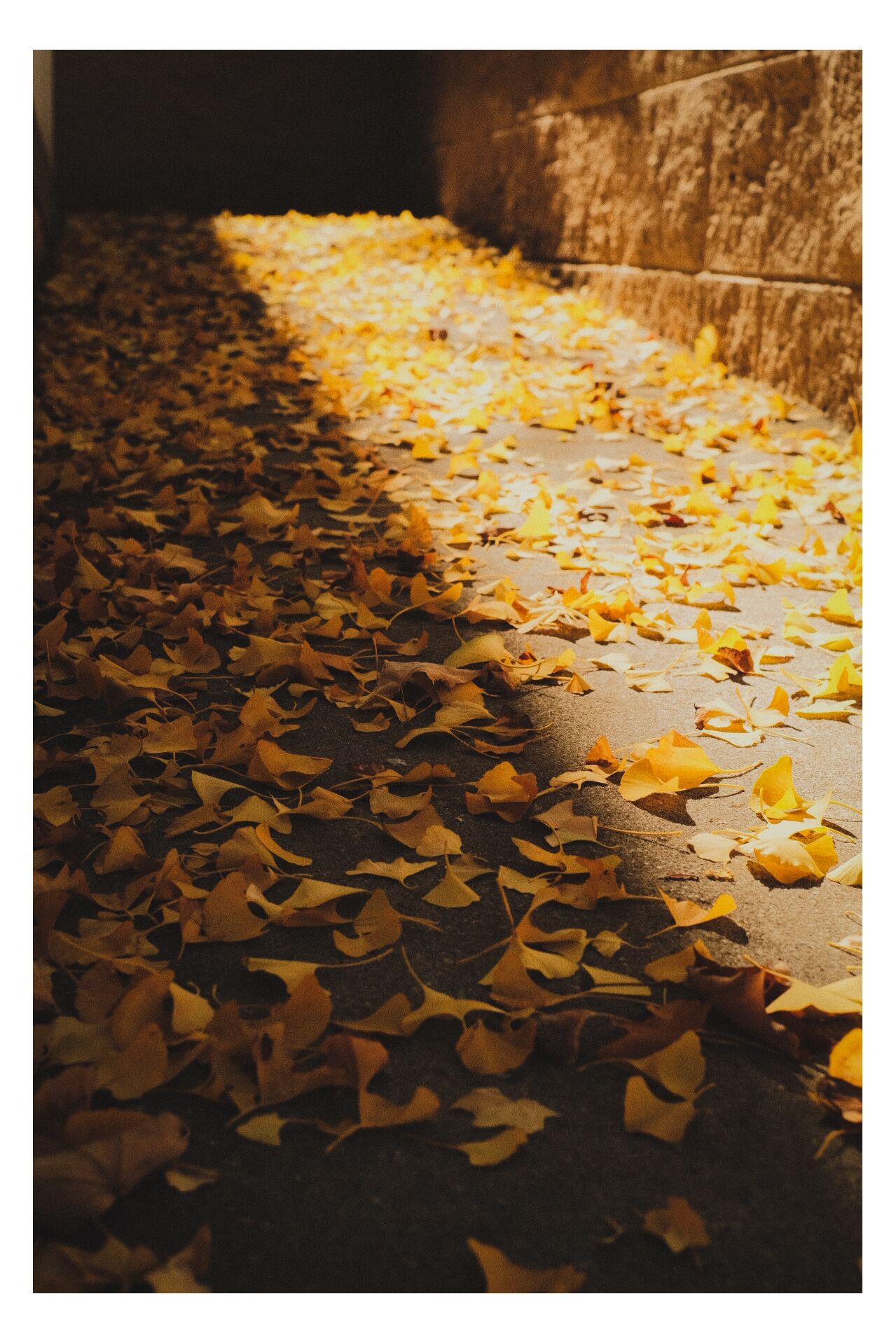 Nature photograph 15 by William Everett