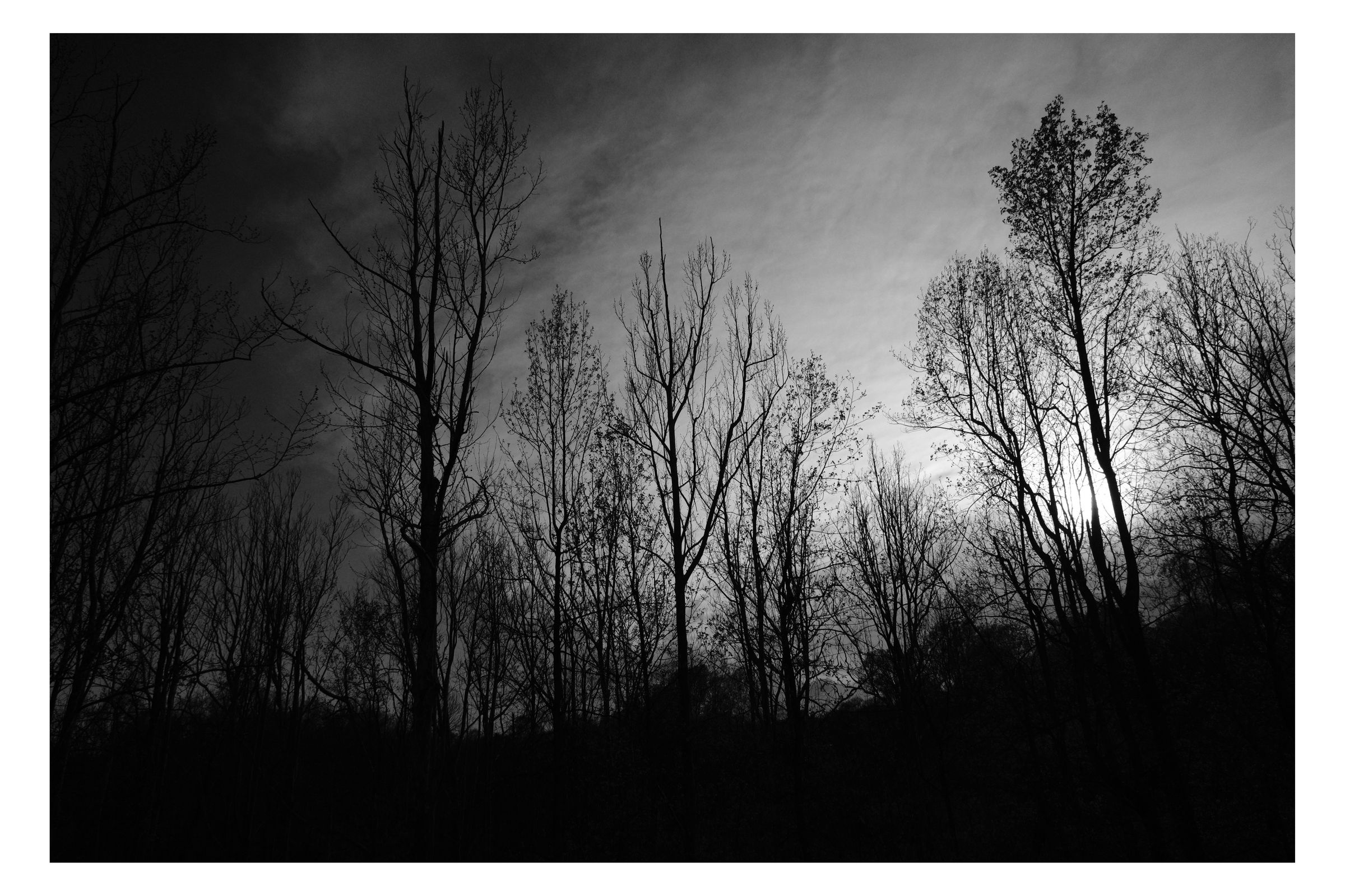 Nature photograph 19 by William Everett