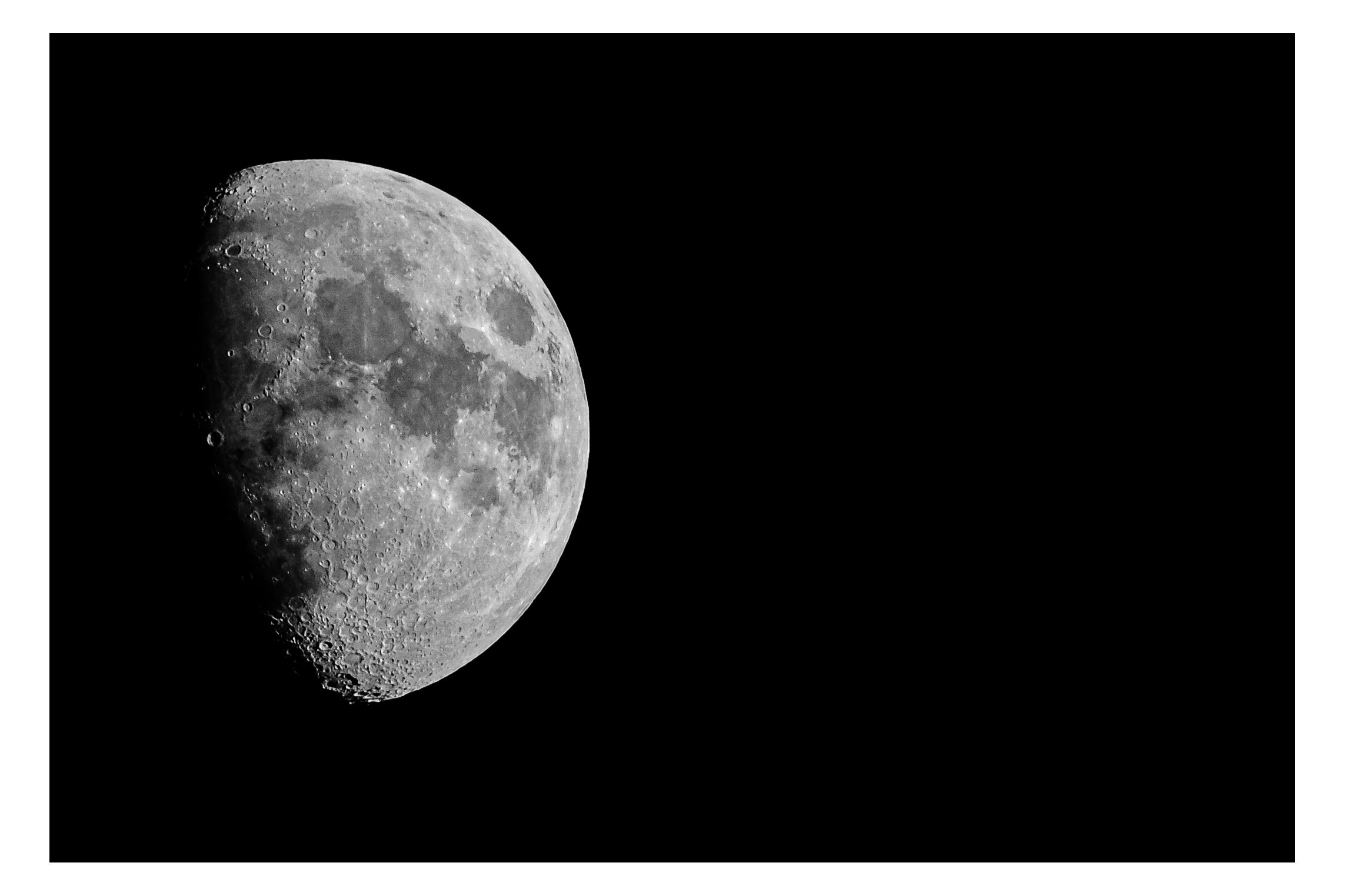Nature photograph 21 by William Everett