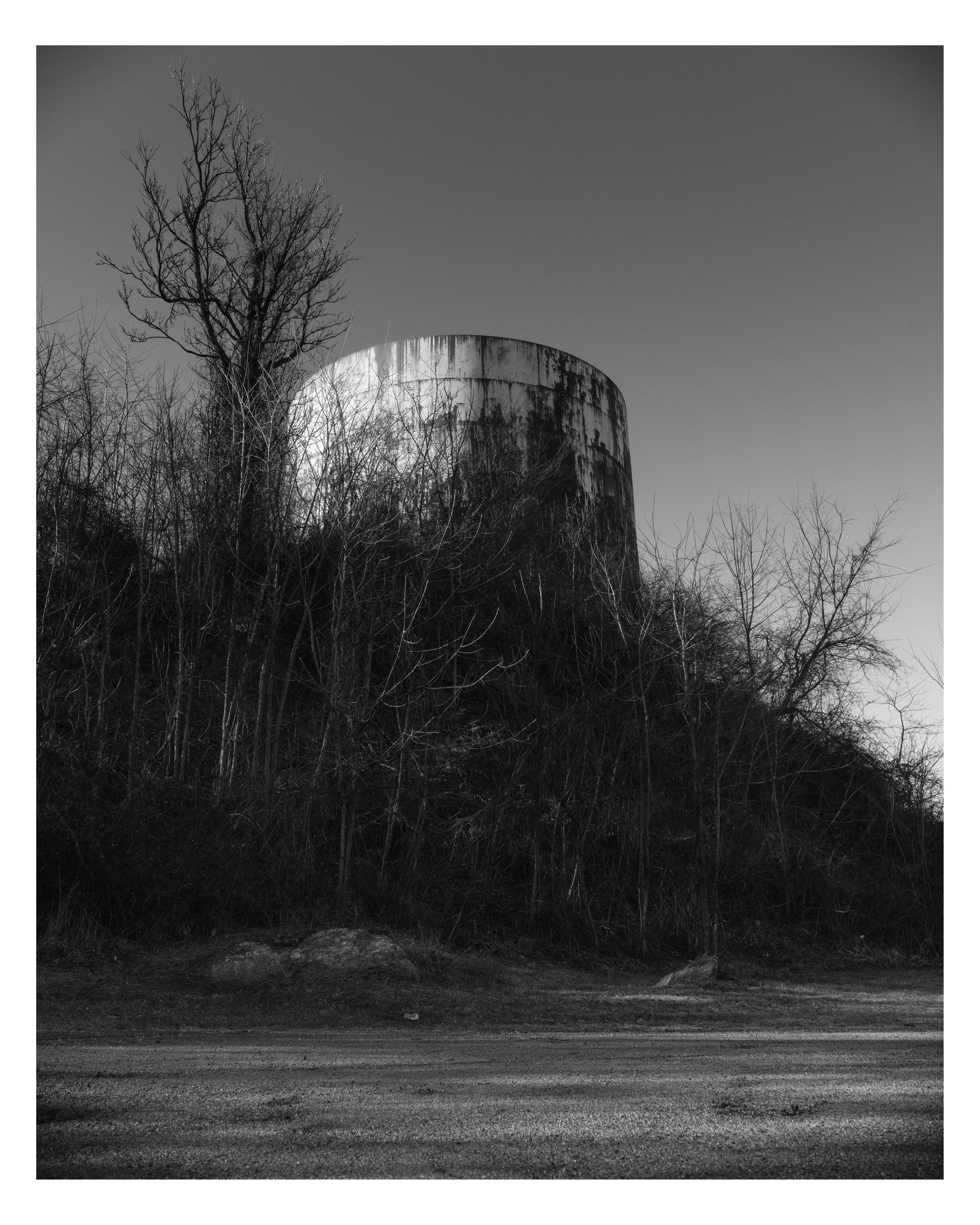 Nature photograph 26 by William Everett