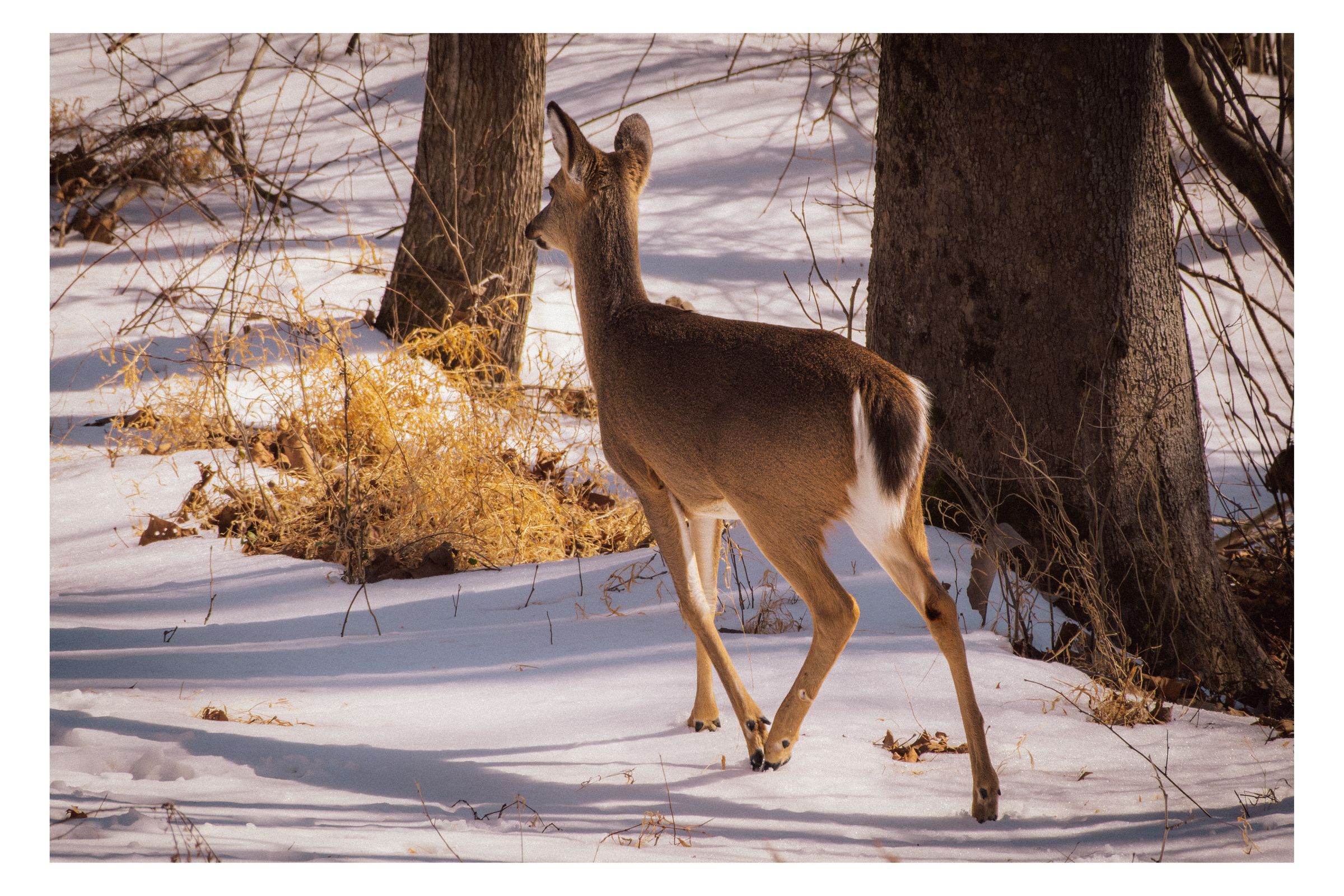 Nature photograph 30 by William Everett