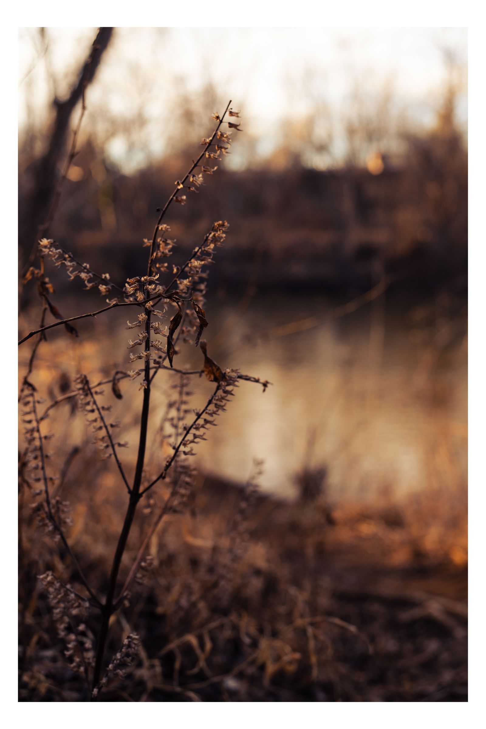 Nature photograph 32 by William Everett