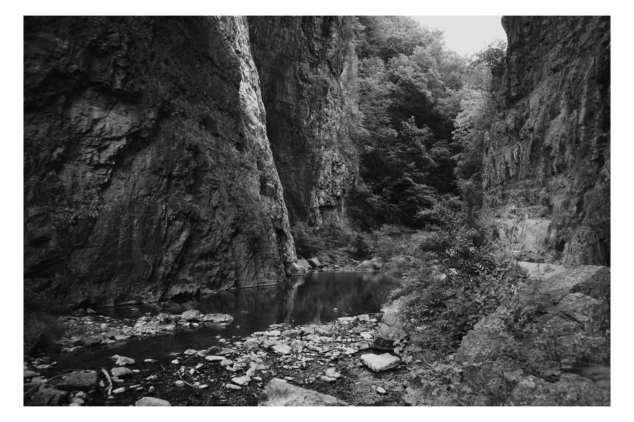 Nature photograph 36 by William Everett