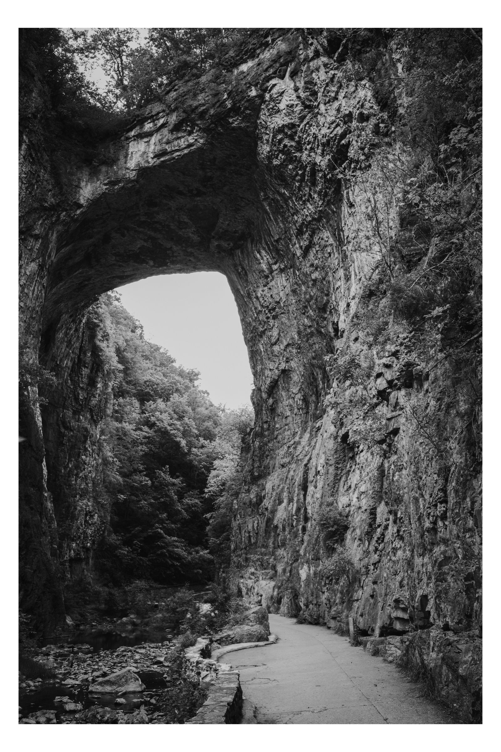 Nature photograph 37 by William Everett
