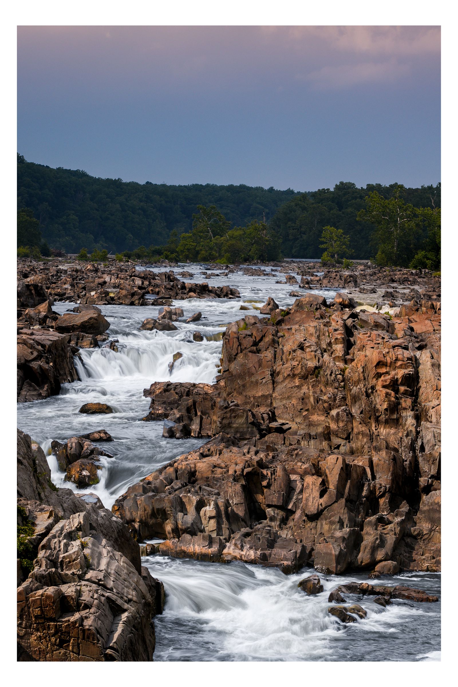 Nature photograph 39 by William Everett