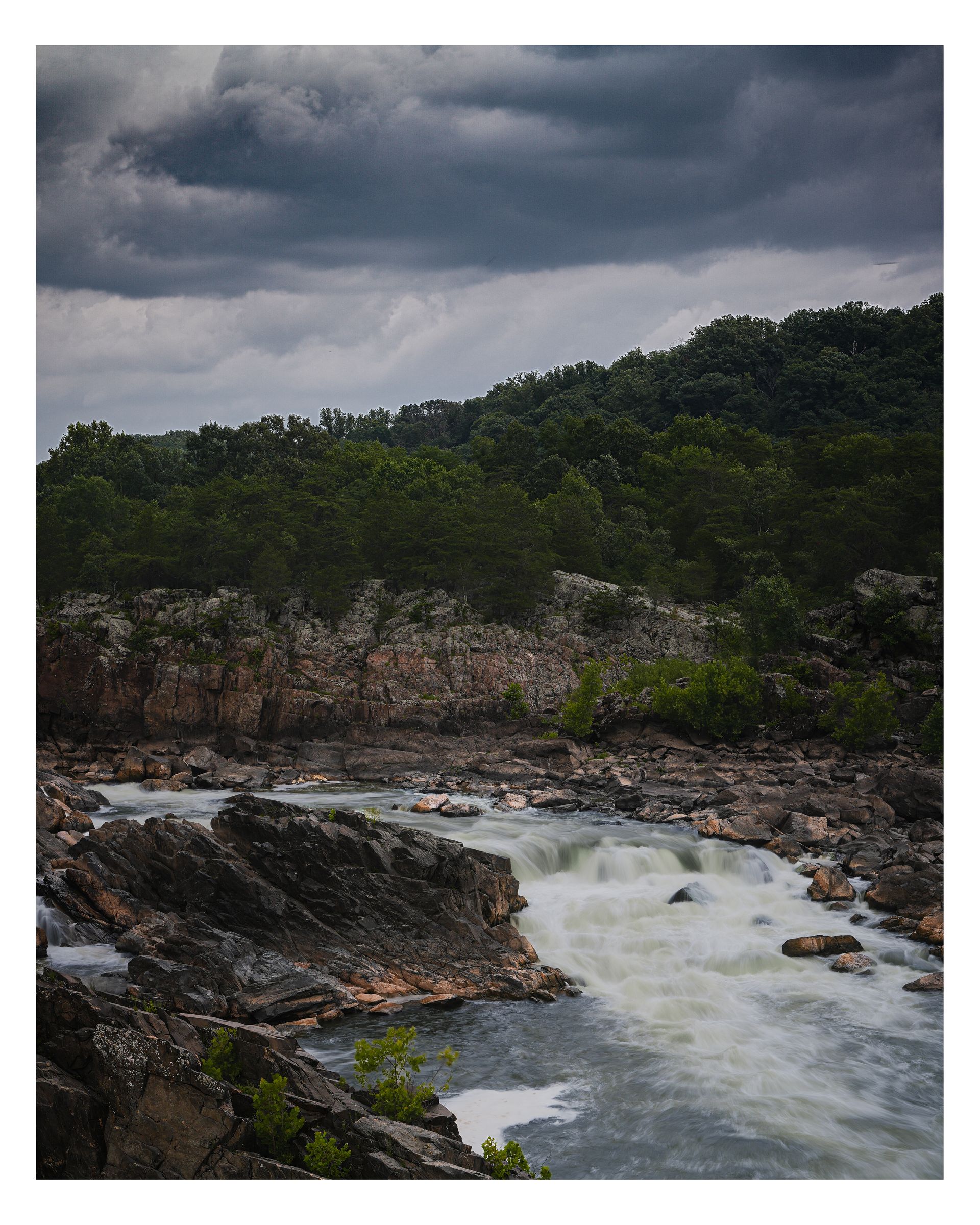 Nature photograph 40 by William Everett