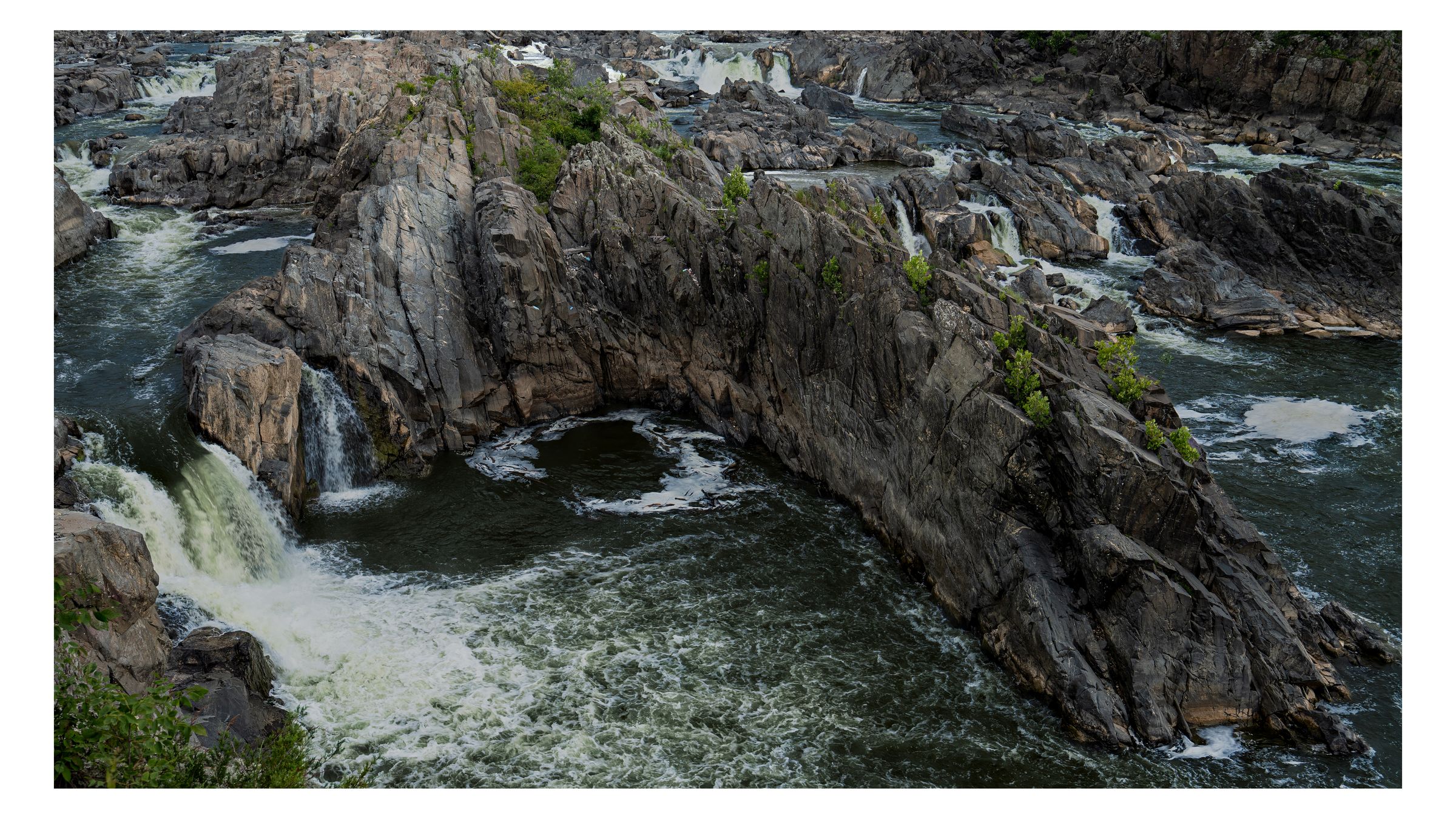 Nature photograph 41 by William Everett