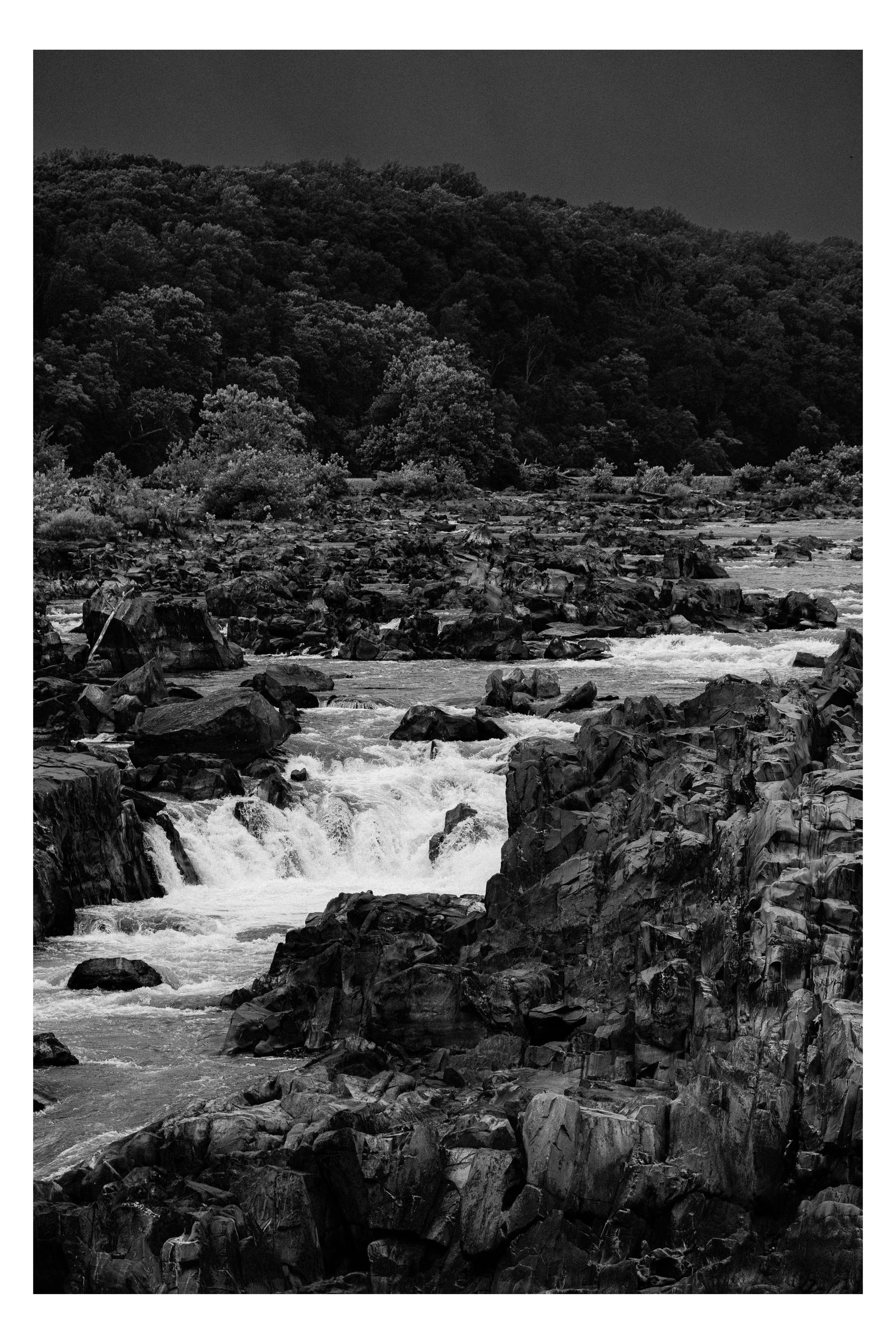 Nature photograph 43 by William Everett