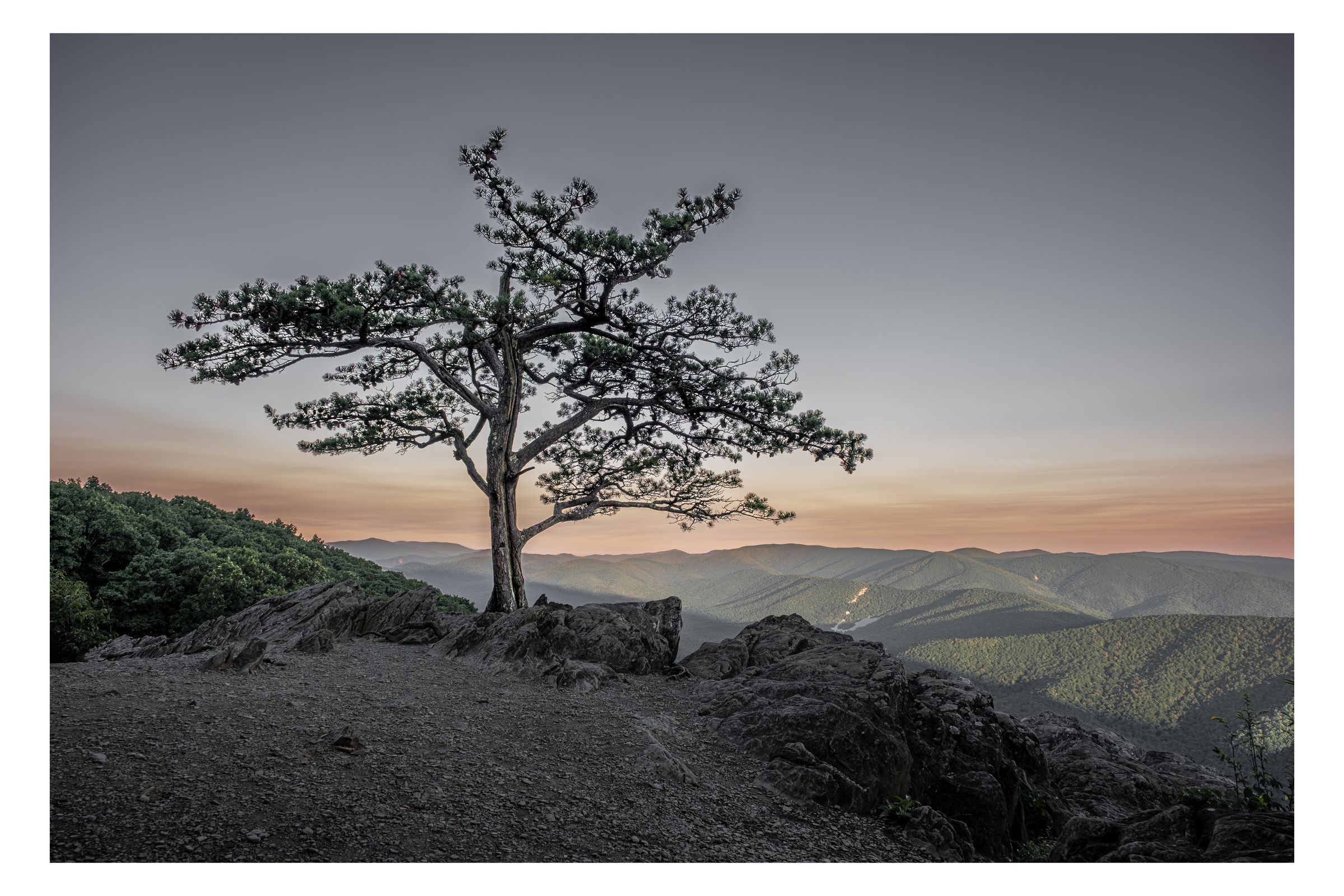 Nature photograph 46 by William Everett