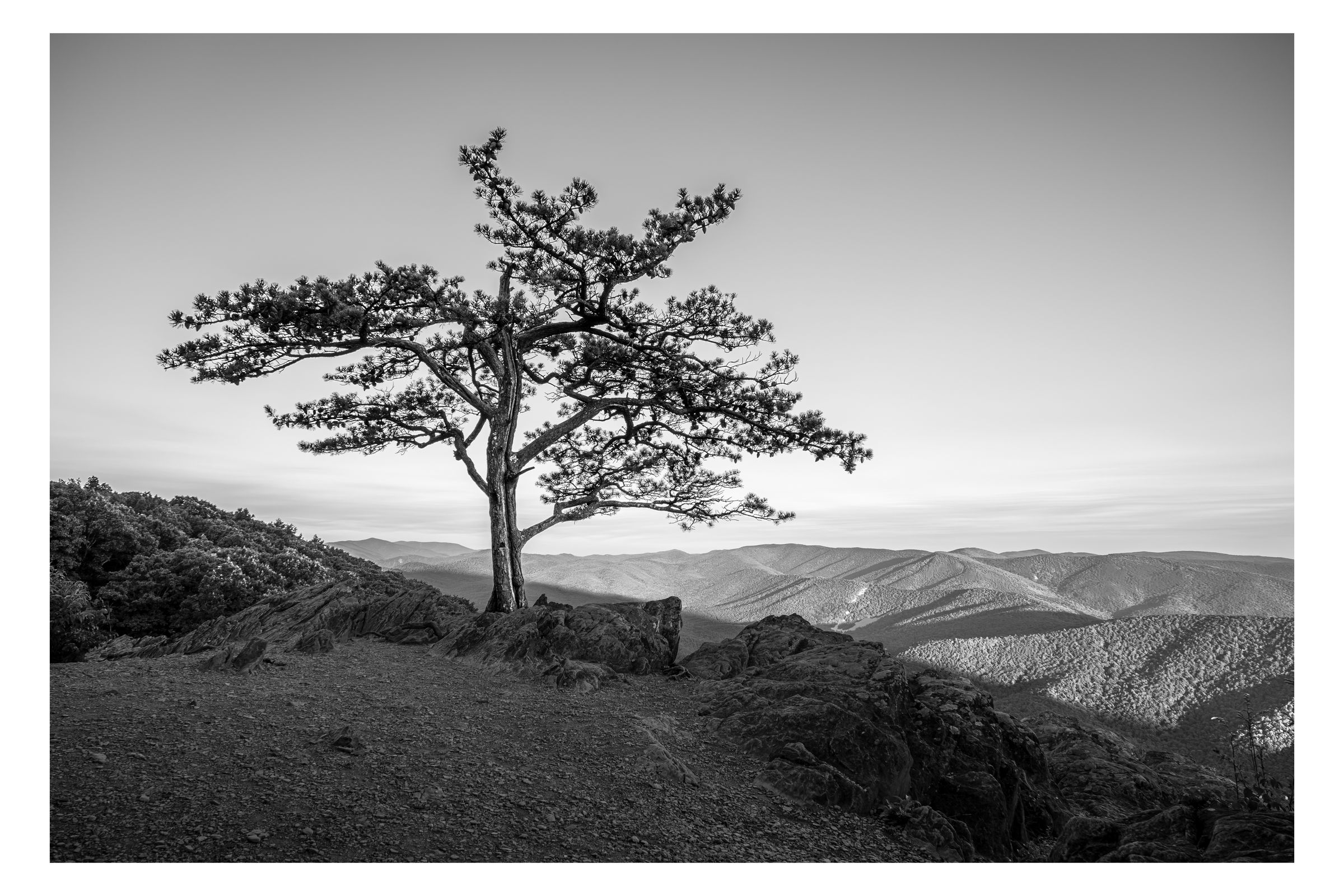 Nature photograph 47 by William Everett