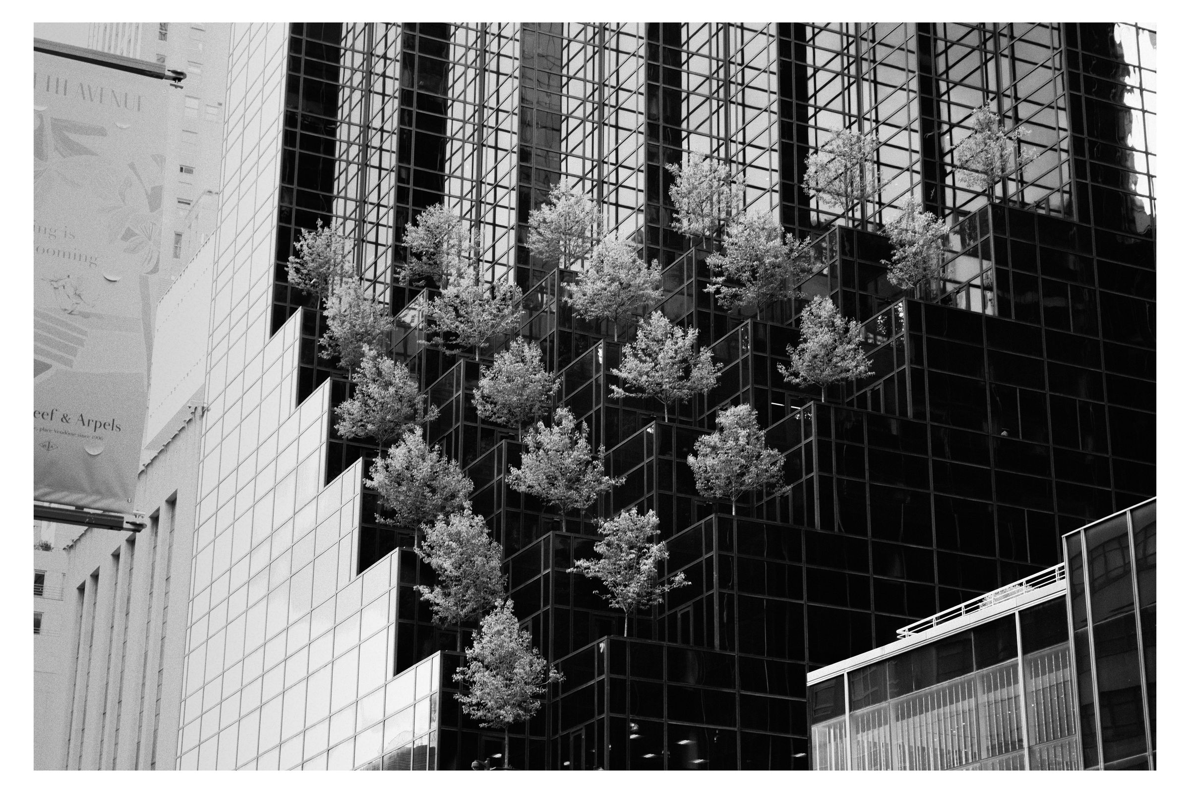 New York City photograph 30 by William Everett