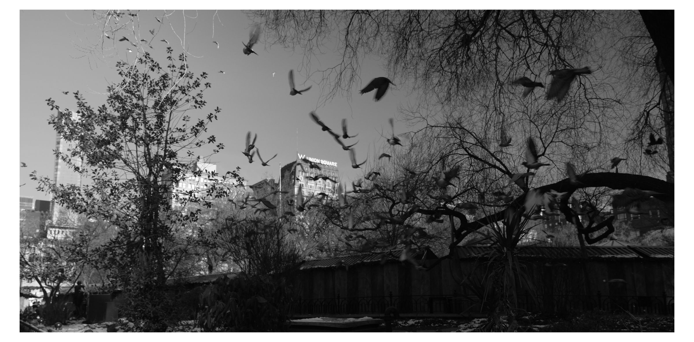 New York City photograph 40 by William Everett