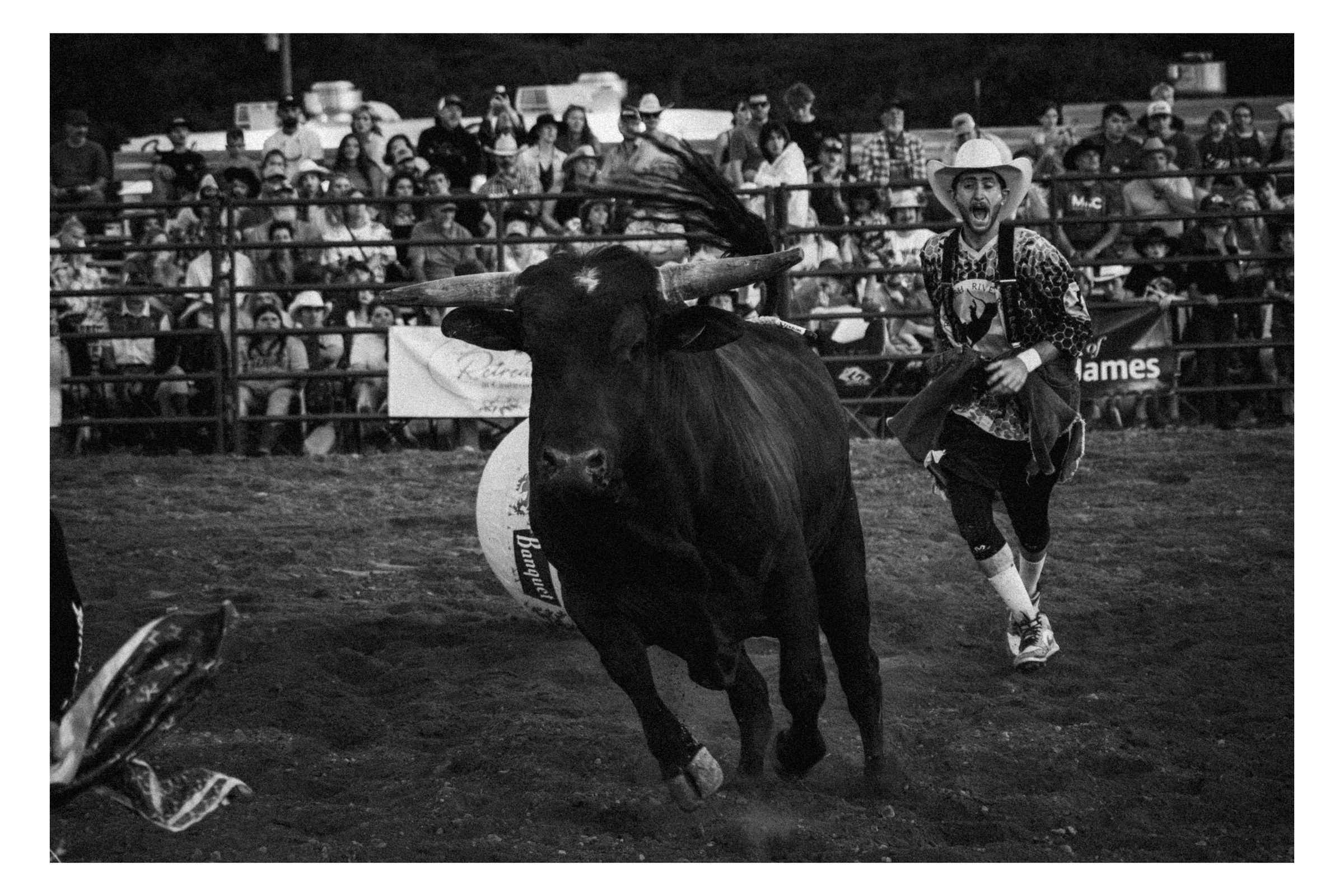 Rockfish River Rodeo 2026 photograph 35 by William Everett