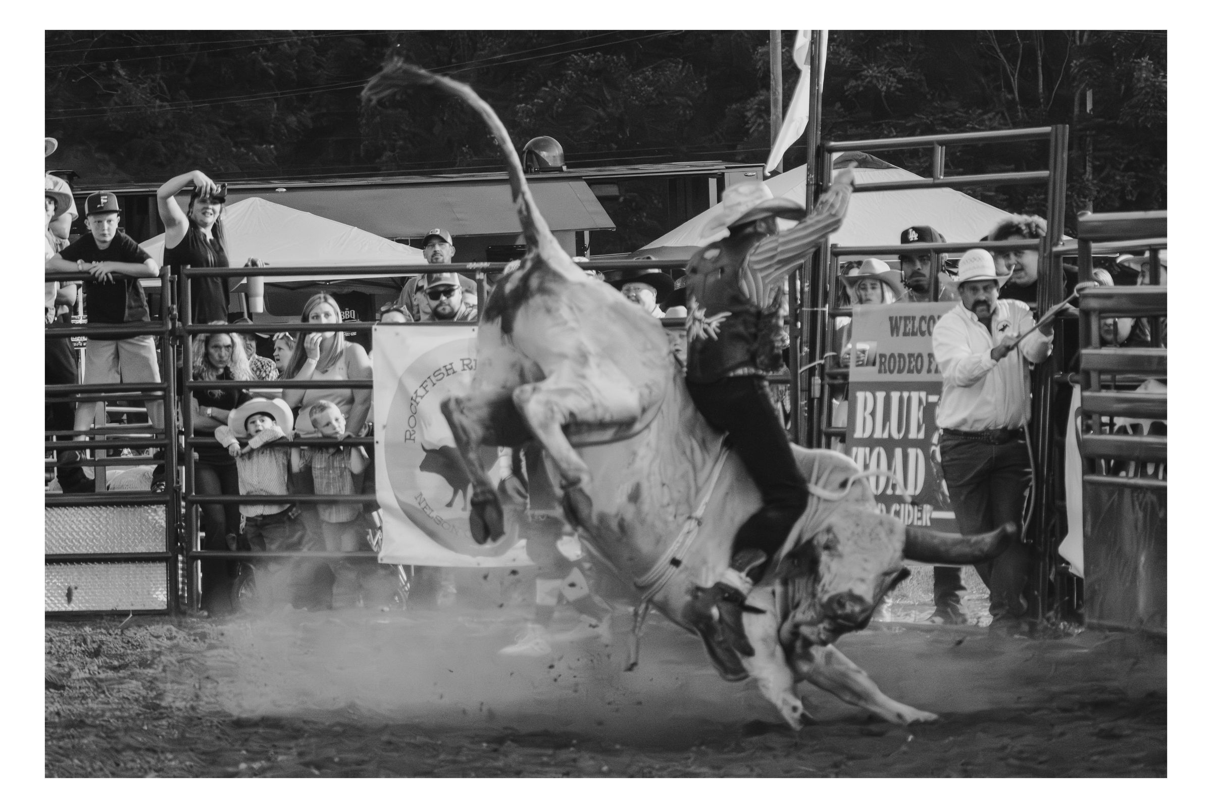 Rockfish River Rodeo 2026 photograph 38 by William Everett