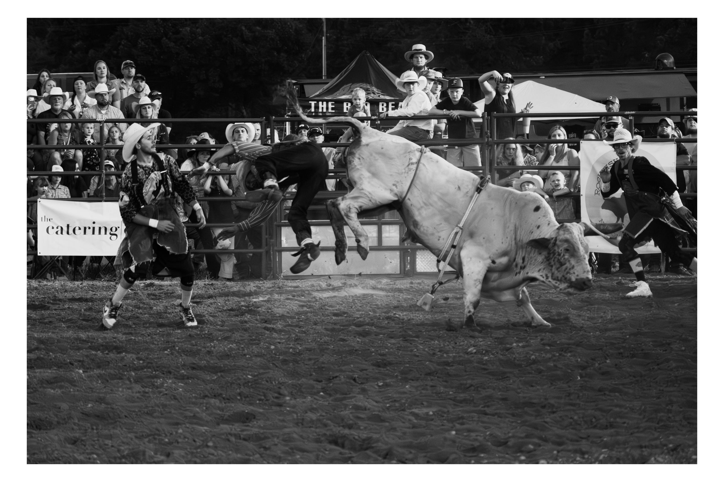 Rockfish River Rodeo 2026 photograph 40 by William Everett