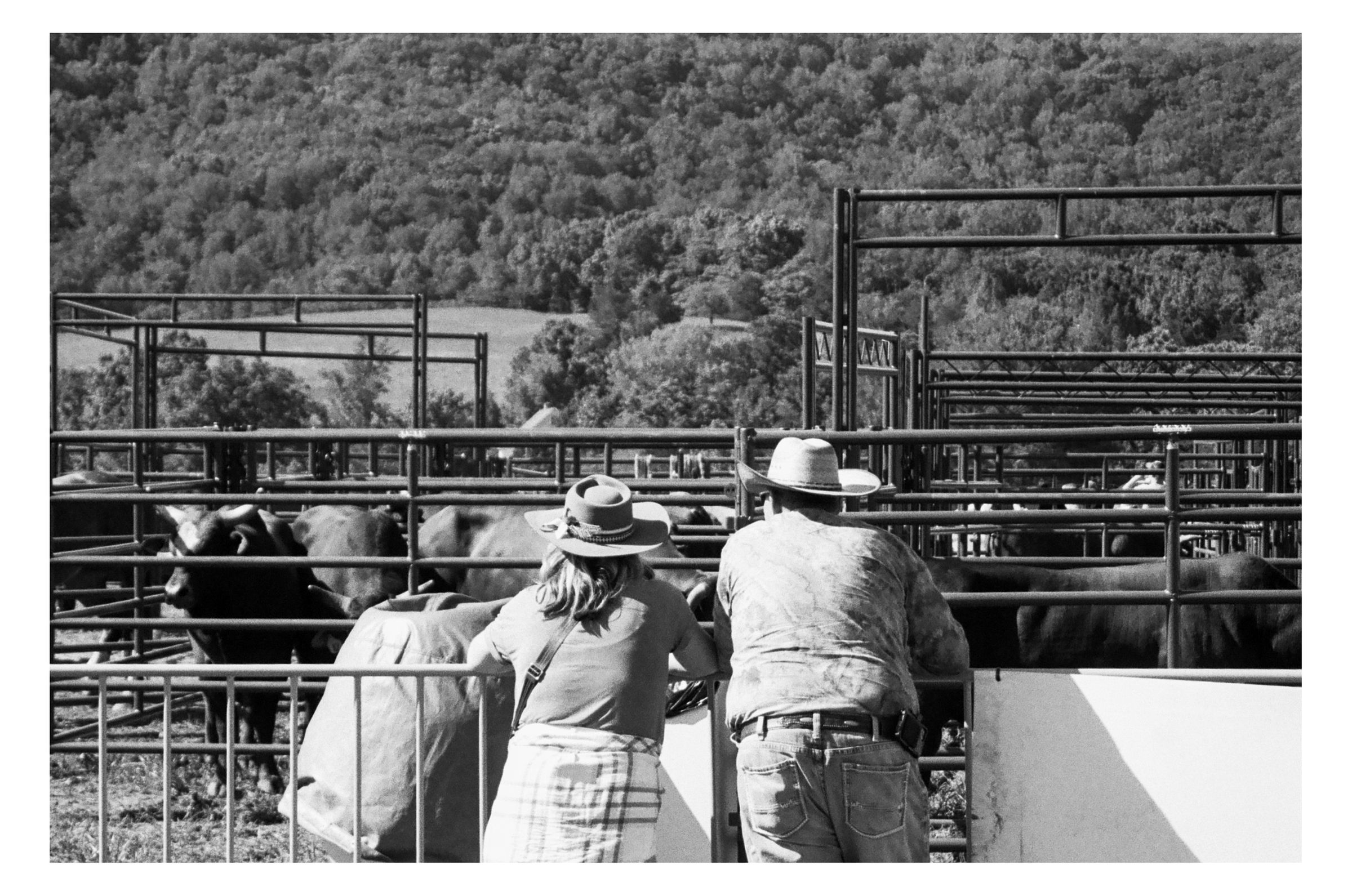 Rockfish River Rodeo 2026 photograph 45 by William Everett